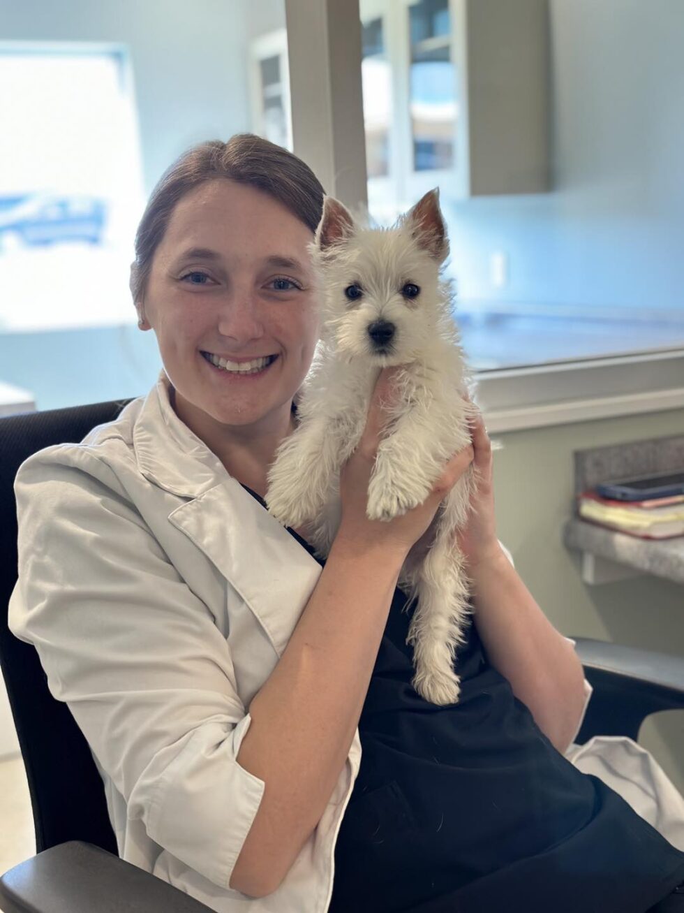 About Pet Health of Hampstead Serving Greater Hampstead, NC