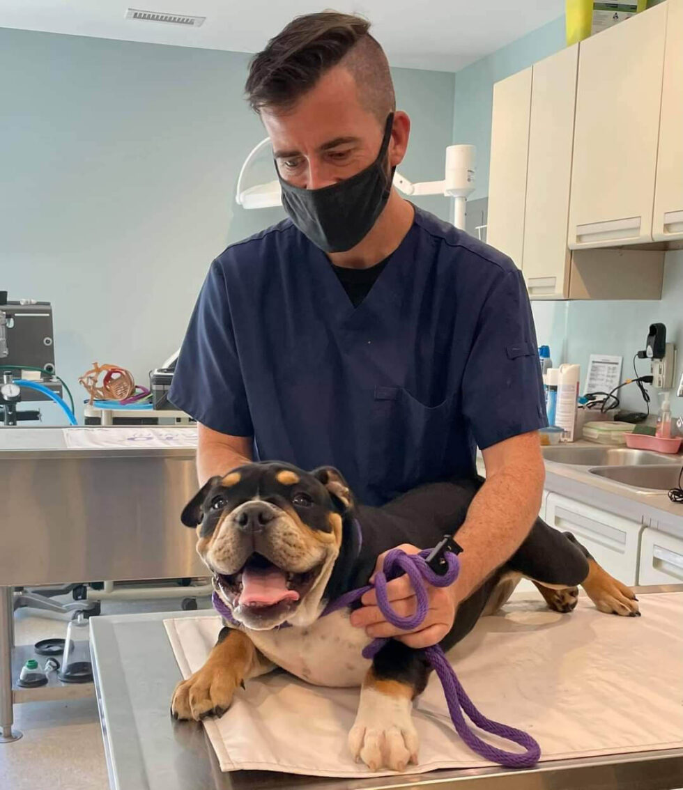 Meet Our Doctors & Staff Pet Health of Hampstead