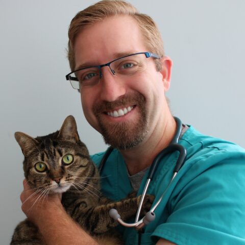 Meet Our Doctors & Staff - Pet Health of Hampstead