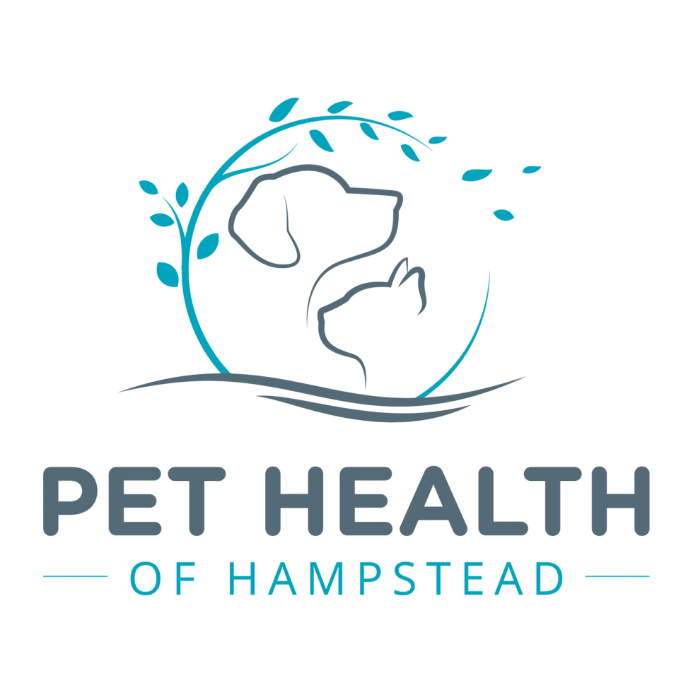 Meet Our Doctors & Staff Pet Health of Hampstead